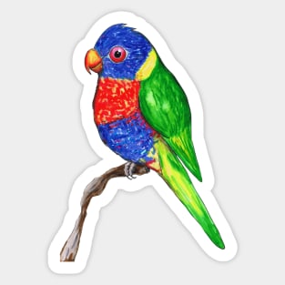 Cute rainbow lorikeet Sticker